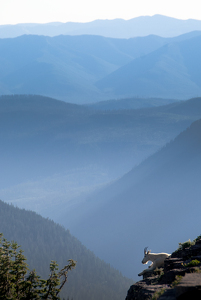 High country, Glacier National Park - Photo by Chad Williams