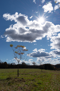 Hope - Photo by Marylou Lavoie