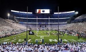 I Guess Ducks Can Fly in a White Out After All - Photo by Nick Aseritis