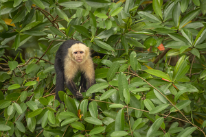 Class B 2nd: I See You by Lisa Willsey