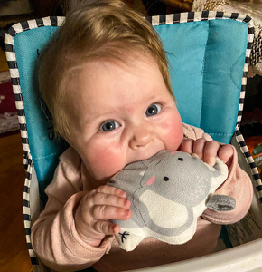 I'm so hungry I could eat an elephant - Photo by Jim Patrina