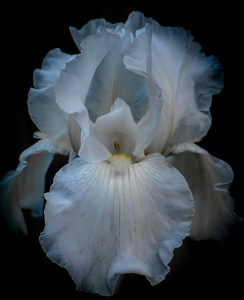 Imperfect - Photo by Quyen Phan