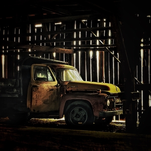 In The Barn - Photo by Dolores Brown