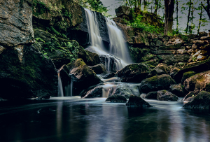 In the Company of Moss and Water - Photo by Amy Keith