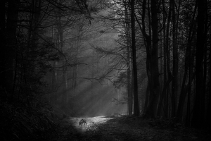 Class A 1st: in the haze by John Parisi