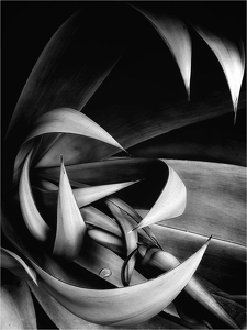 Class B 1st: Interlocking Arcs by Amy Keith