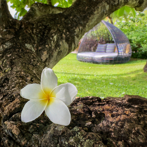 Island Relaxation - Photo by Dolores Brown