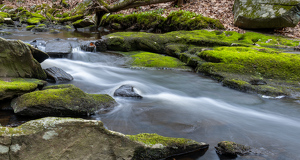 Jim Brook at Roaring Brook - Photo by Kevin Hulse