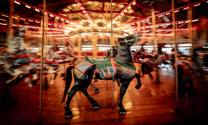 Joy of Going Nowhere (Panning) - Photo by Amy Keith