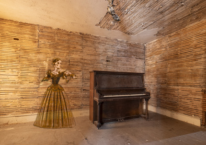 Last Concert - Photo by Nancy Schumann