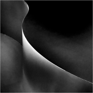 Lines & Light - Photo by Eric Lohse