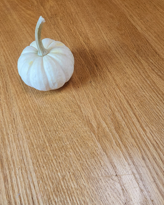 Little Pumpkin - Photo by Bill Latournes