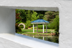 Looking Through - Photo by Marylou Lavoie