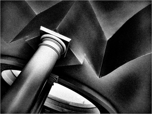 Class A 1st: Looking Up by Eric Lohse