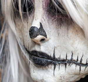 Class B HM: Masked Beauty by Quannah Leonard