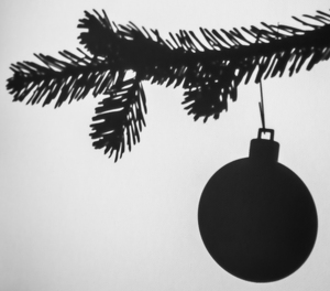 Merry Christmas - Photo by Pamela Carter