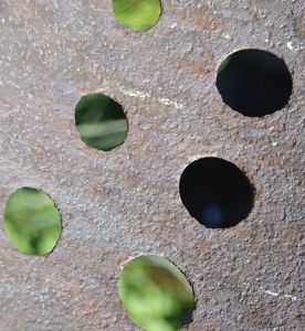 Metal in Nature - Photo by Cheryl Picard