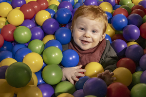 Class B 1st: Milo, in a tub of balls by Jim Kahnweiler