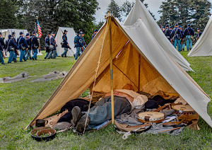 Missed the Wake-Up Call - Photo by Linda Miller-Gargano