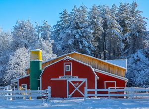 Class B HM: Moonstone Farm by Pamela Carter