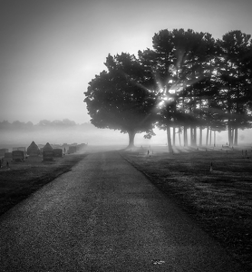 Class A 2nd: Morning Solitude by Dolores Brown