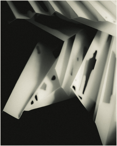 Mystery Man - Photo by Eric Lohse