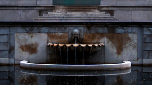 Neglected Fountain - Photo by Ian Veitzer