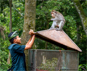Not Really Helping - Photo by Susan Case