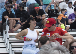 Not sure - Photo by John Parisi