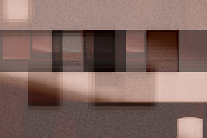 Obscured View - Photo by Lisa Willsey