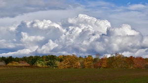 Class B HM: October Clouds in Bloom by Cheryl Picard