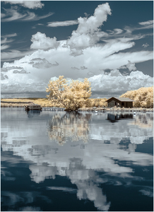 Class A 2nd: On A Summer Day (Infrared) by Karin Lessard