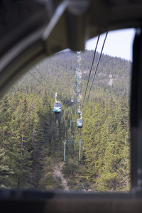 Out the Banff Gondola Window - Photo by Nancy Schumann