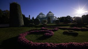 Palm House - Photo by Owen Small