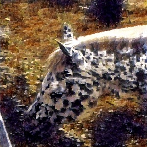 Palomino Made Mosaic - Photo by Frank Stapleford