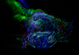 Particle and Wave - Photo by Janice Oliveri