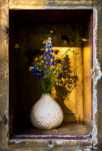 Class B 1st: Petals in a Forgotten Box by Amy Keith