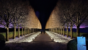 Quietude - Photo by Liz Borajkiewicz