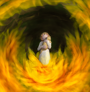 Rescue - Photo by Bob Ferrante