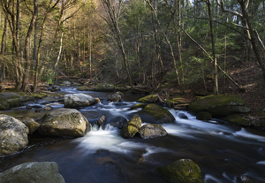 Roaring Brook - Photo by Lisa Willsey