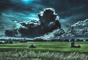 Running from the Storm - Photo by Janice Oliveri