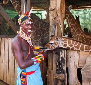 Salon 1st: Samburu guide with 2 week old giraffe - Lewa Conservancy by Susan Case