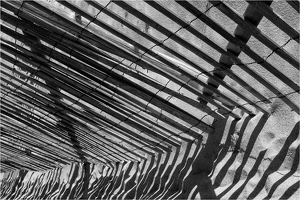 Sand Shadows - Photo by Alene Galin