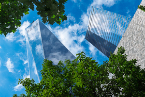 Salon HM: See Through Towers by Bill Payne