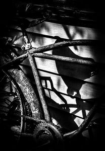Shadows - Photo by Alene Galin