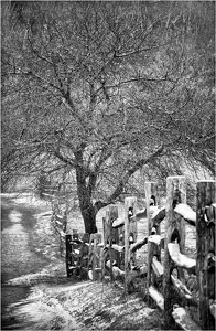 Class A HM: Snowy-Day by Alene Galin