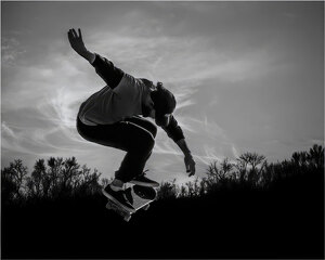 Salon HM: Surfing the Tree Tops by John Straub