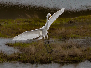 The Landing - Photo by Quyen Phan
