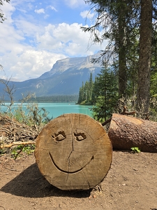 The Laughing-Stock - Photo by Liz Borajkiewicz