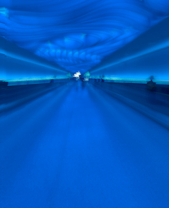 The Long Walk - Photo by Kevin Hulse